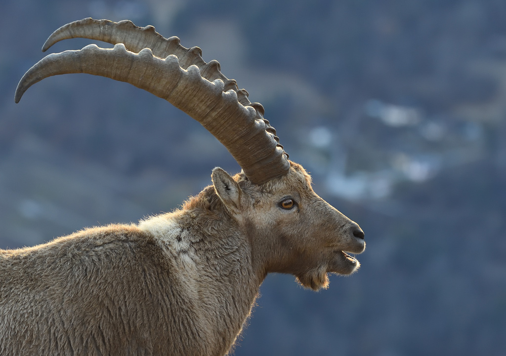 DS5_7403.jpg