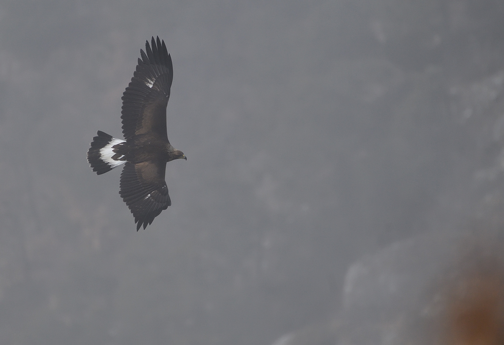 DS5_7241.jpg