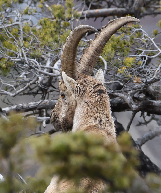 DS5_7194.jpg