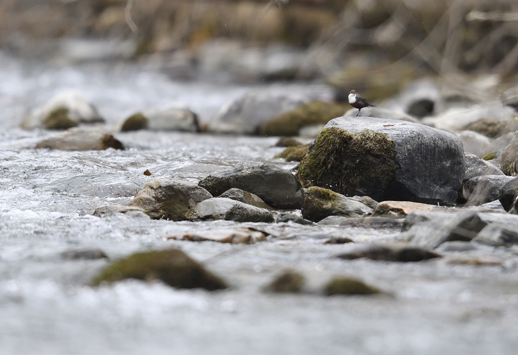 DS5_7785.jpg