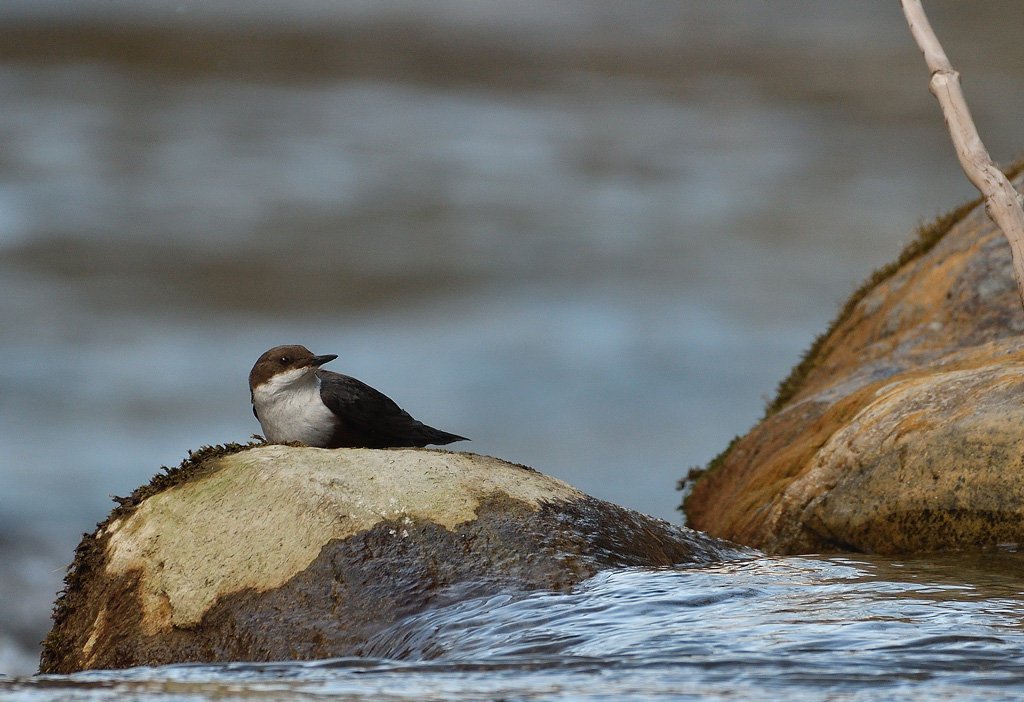 DSC_2770.jpg