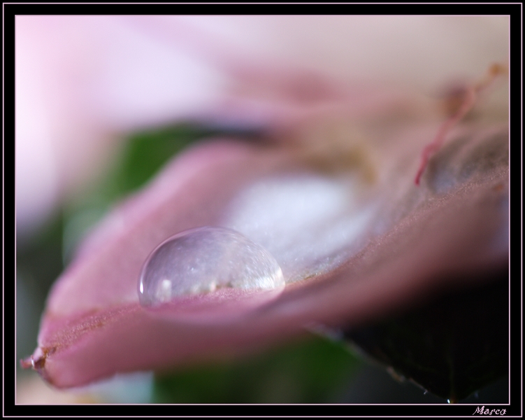 _G203189a.jpg