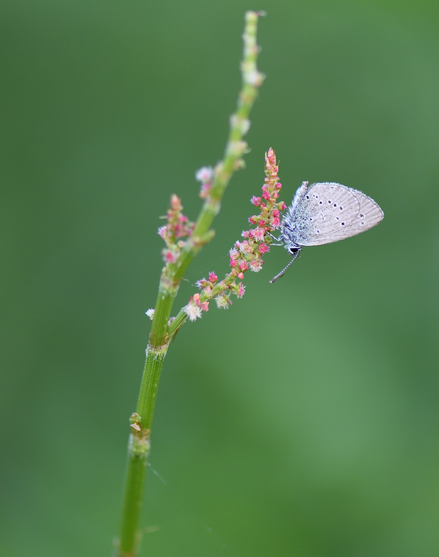 DS5_9830.jpg