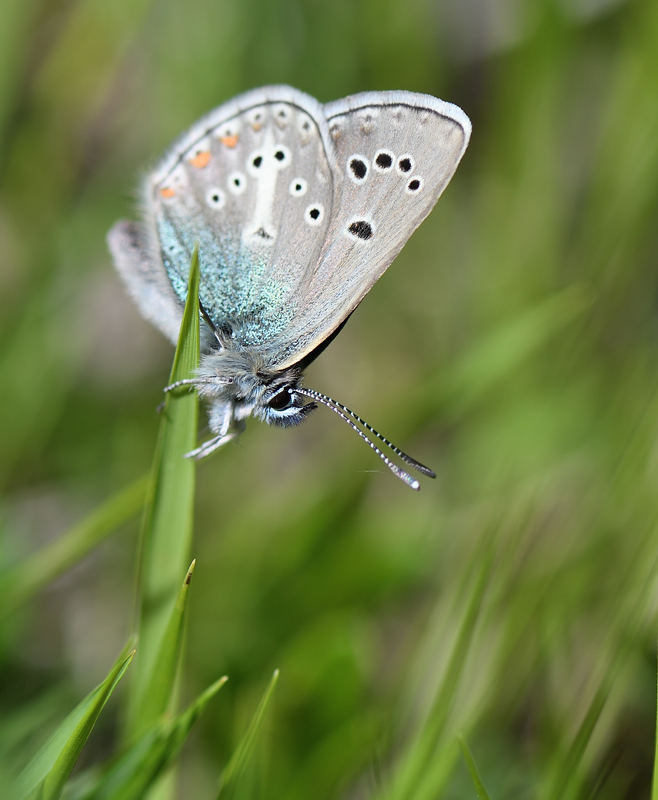 DS5_9862.jpg