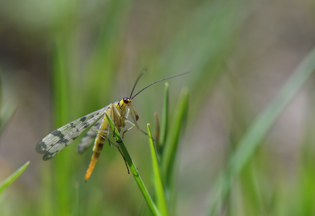 DS5_9876.jpg