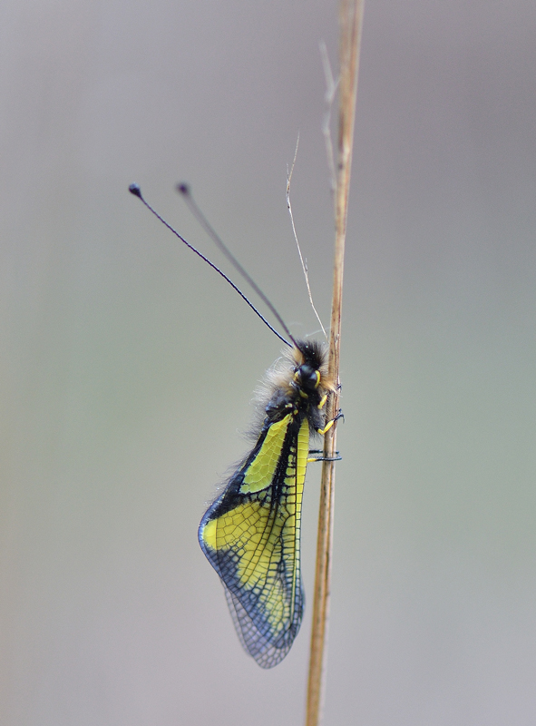 DSC_3088.jpg