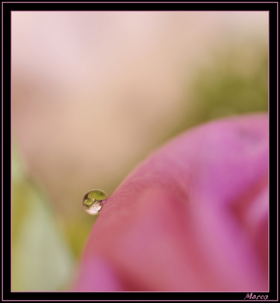 _G203034a.jpg
