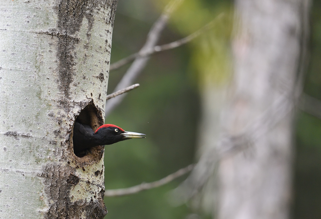 DS5_8537.jpg
