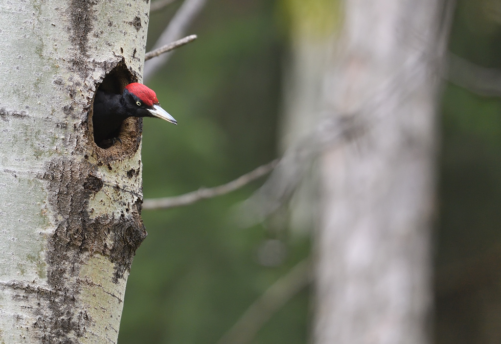 DS5_8553.jpg