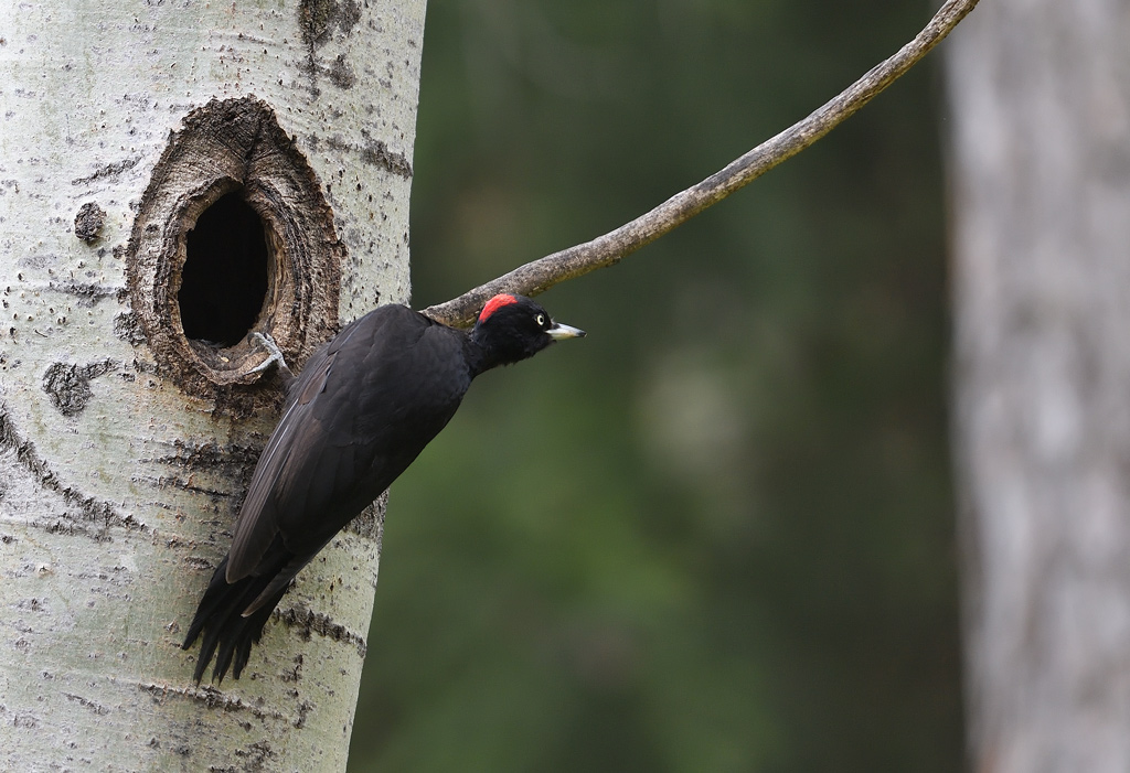 DS5_8623.jpg