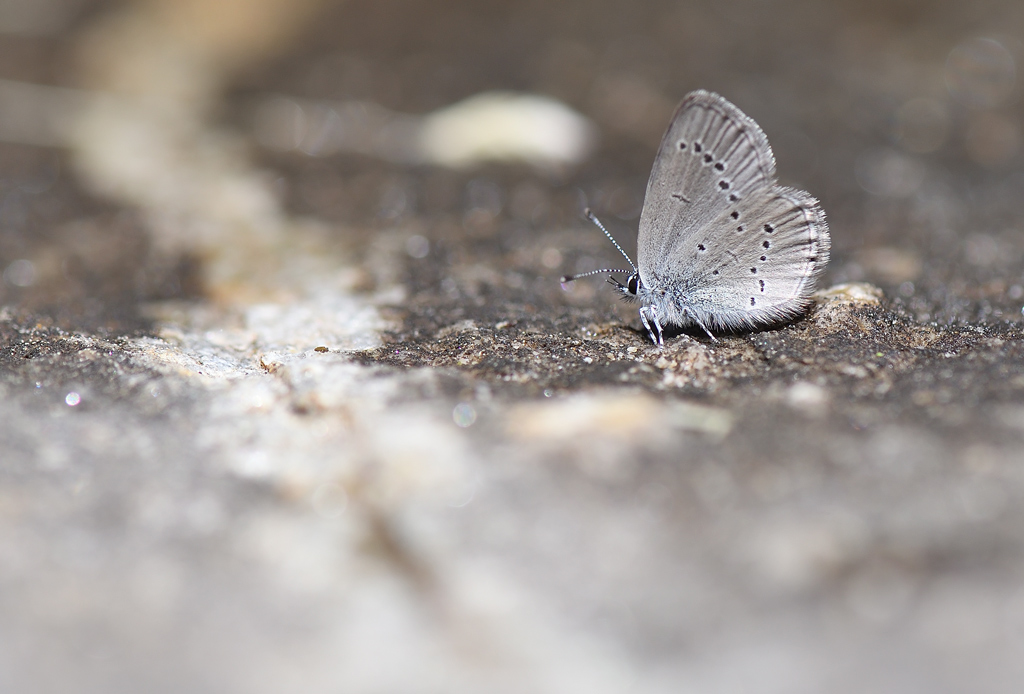 DS5_9885.jpg