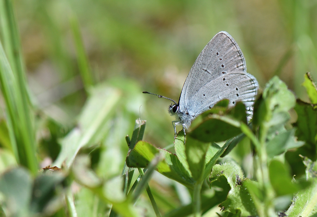 DSC_3316.jpg