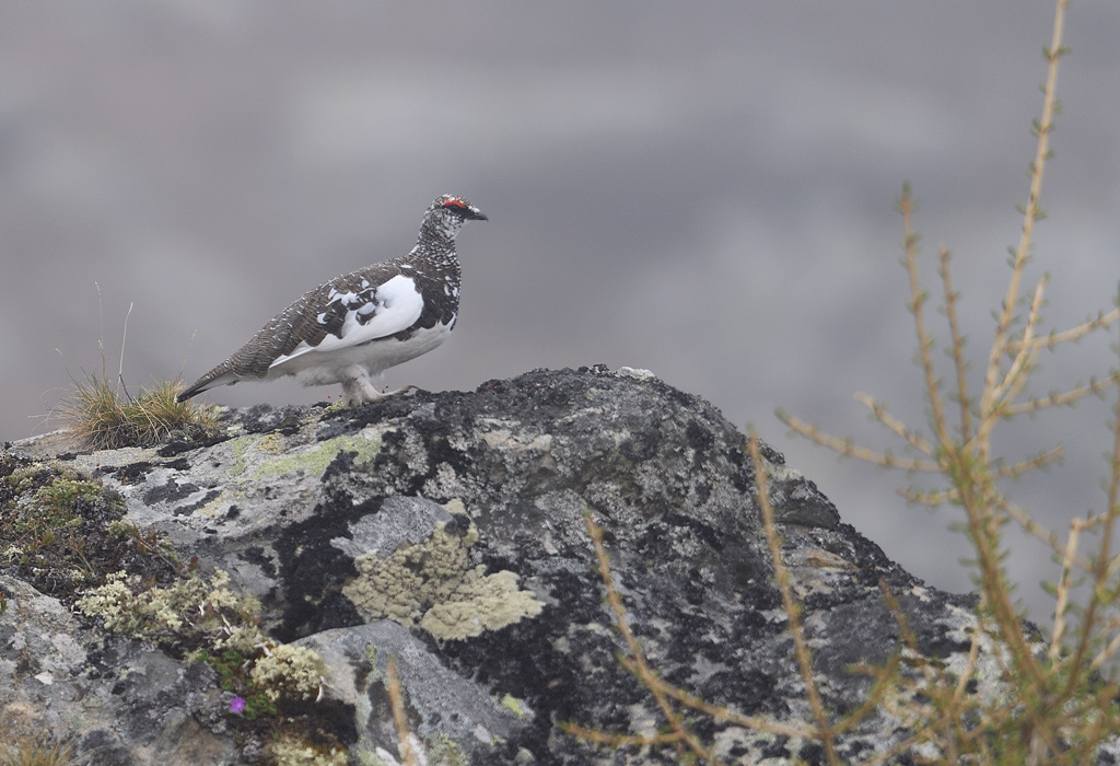 DS5_9755.jpg