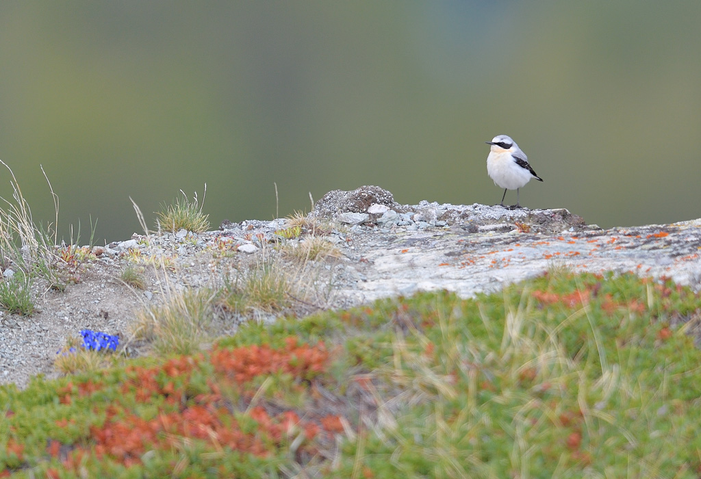 DS5_9761.jpg