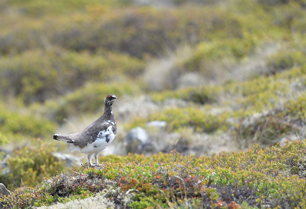 DS5_9784.jpg