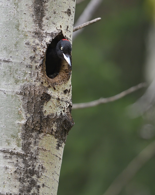 DS5_8651.jpg