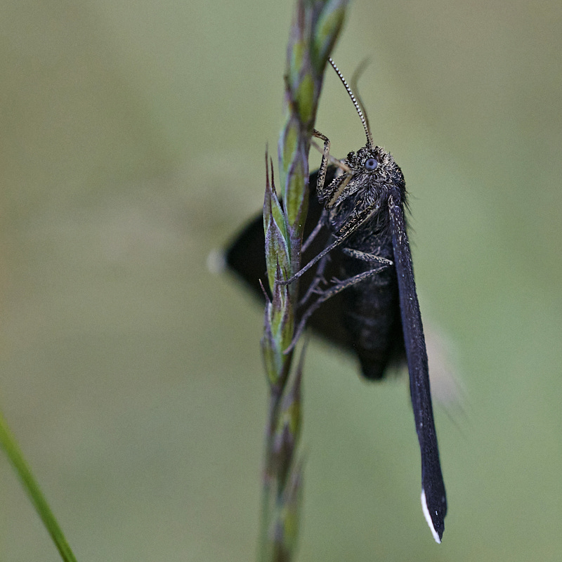 B 6606_1_02.jpg