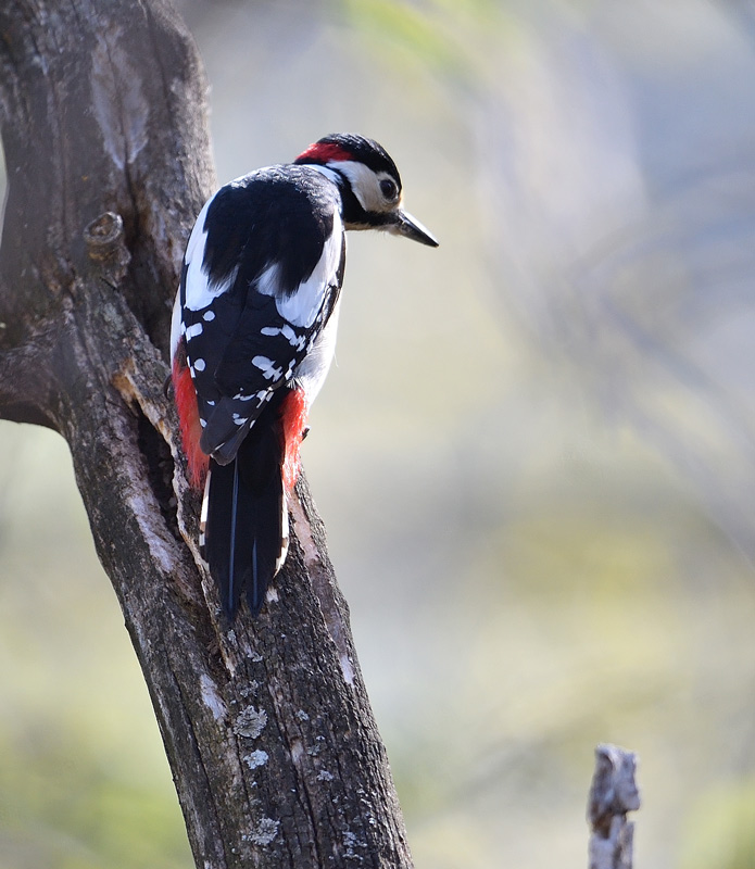 DS5_0167.jpg