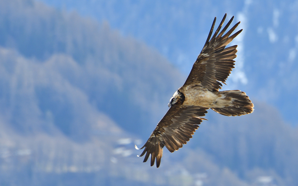 DSC_2144.jpg