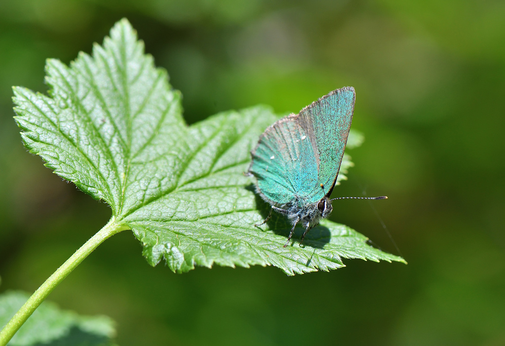 DSC_4023.jpg