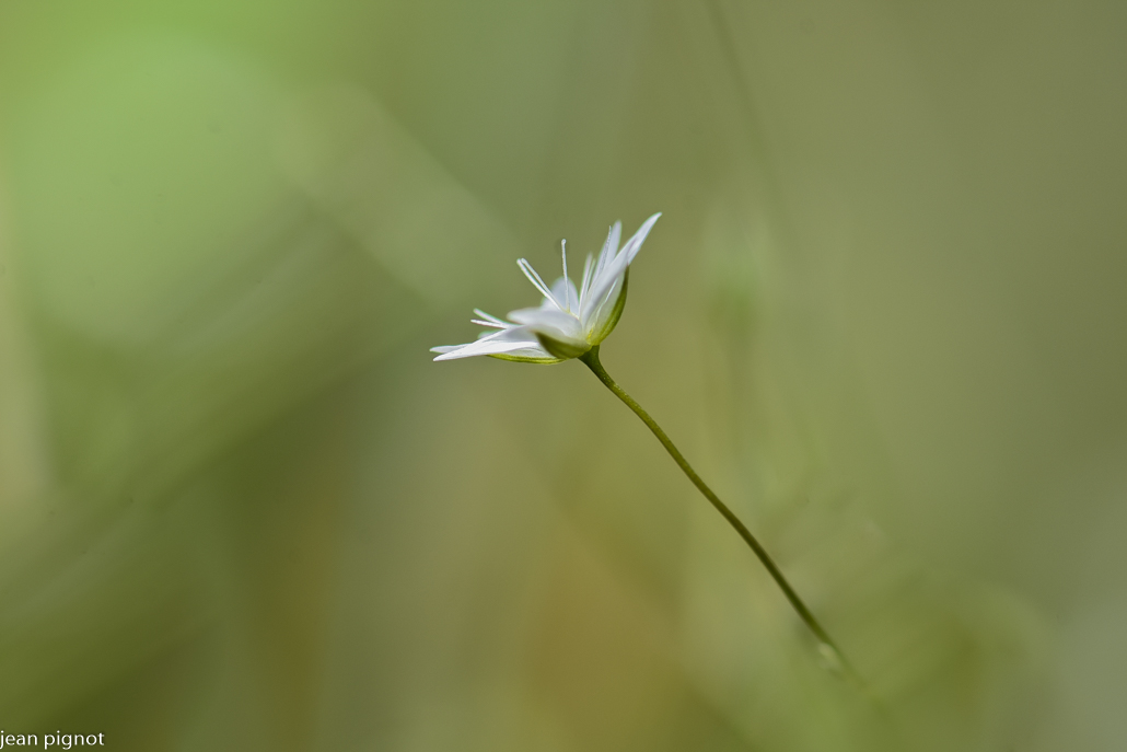 12062022-DSC_5399-2.JPG