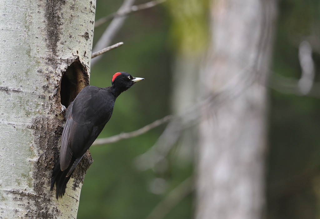 DS5_8644.jpg