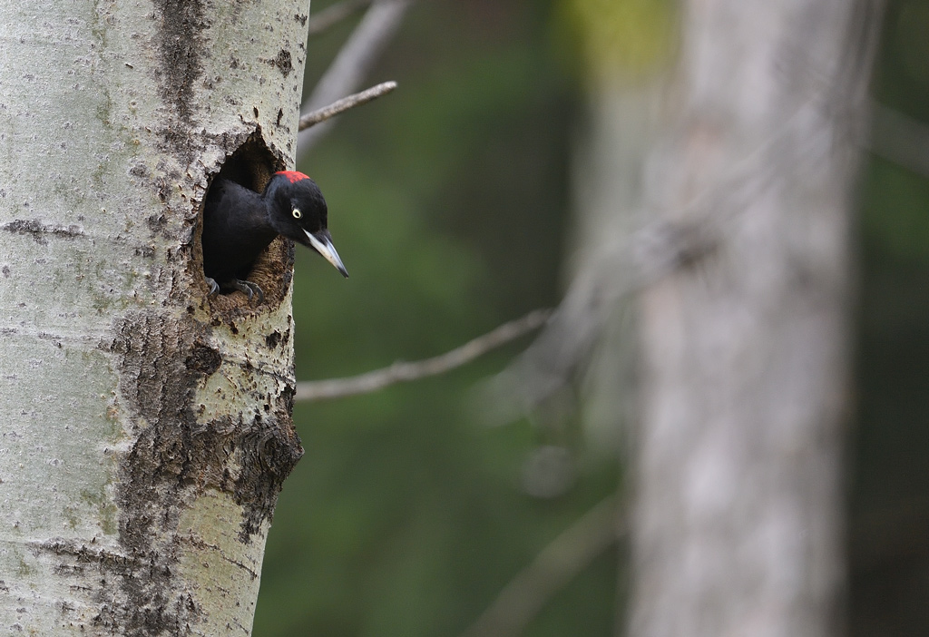 DS5_8654.jpg