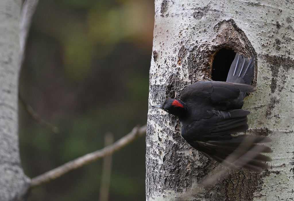 DS5_8691.jpg