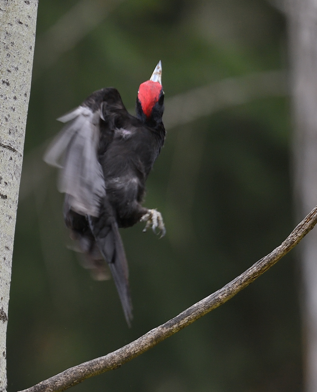 DS5_8736.jpg
