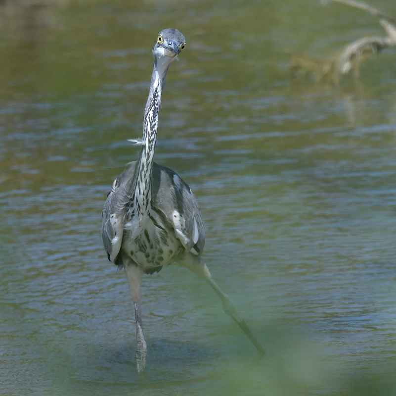 DSC_3745.JPG