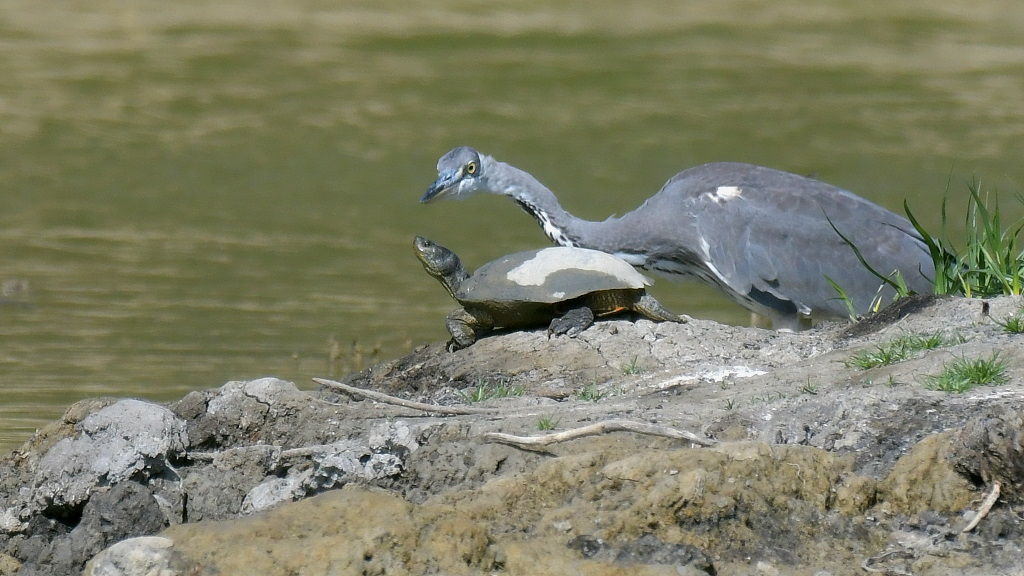 DSC_3764.JPG