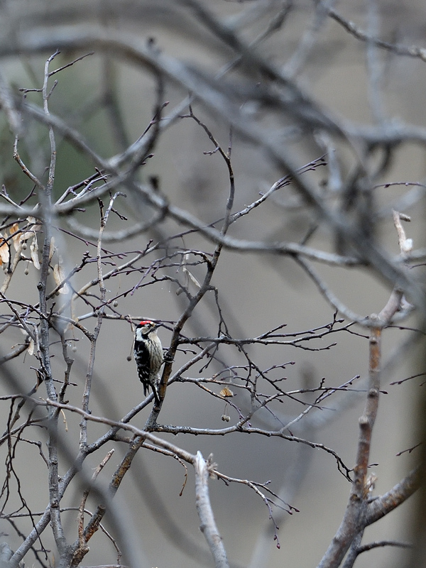DS5_5409.jpg