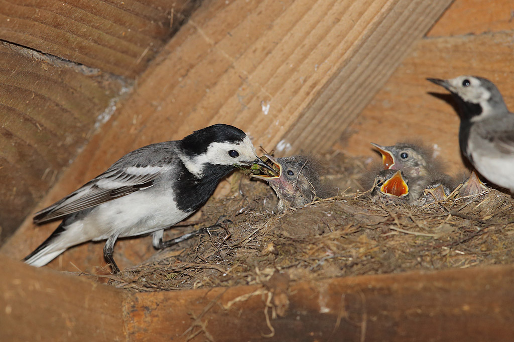 IMG_4843.JPG