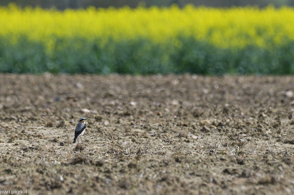 14042022-DSC_2318.JPG