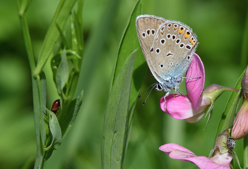 DSC_4547.jpg
