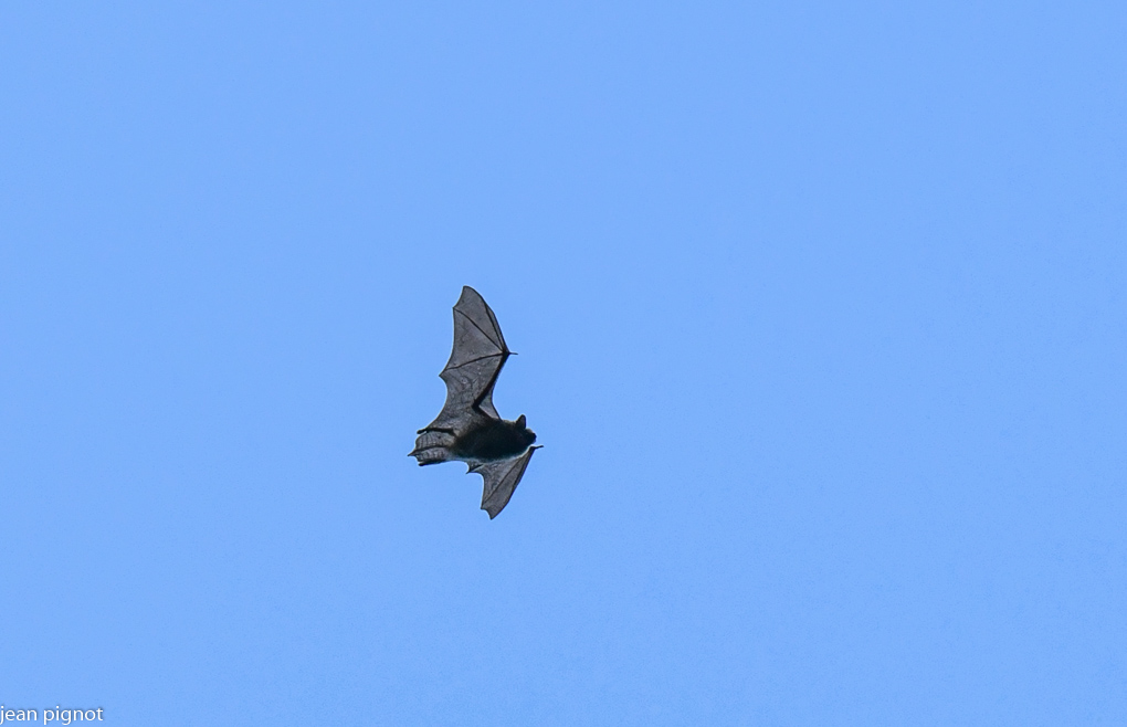 02072022-DSC_8344.JPG