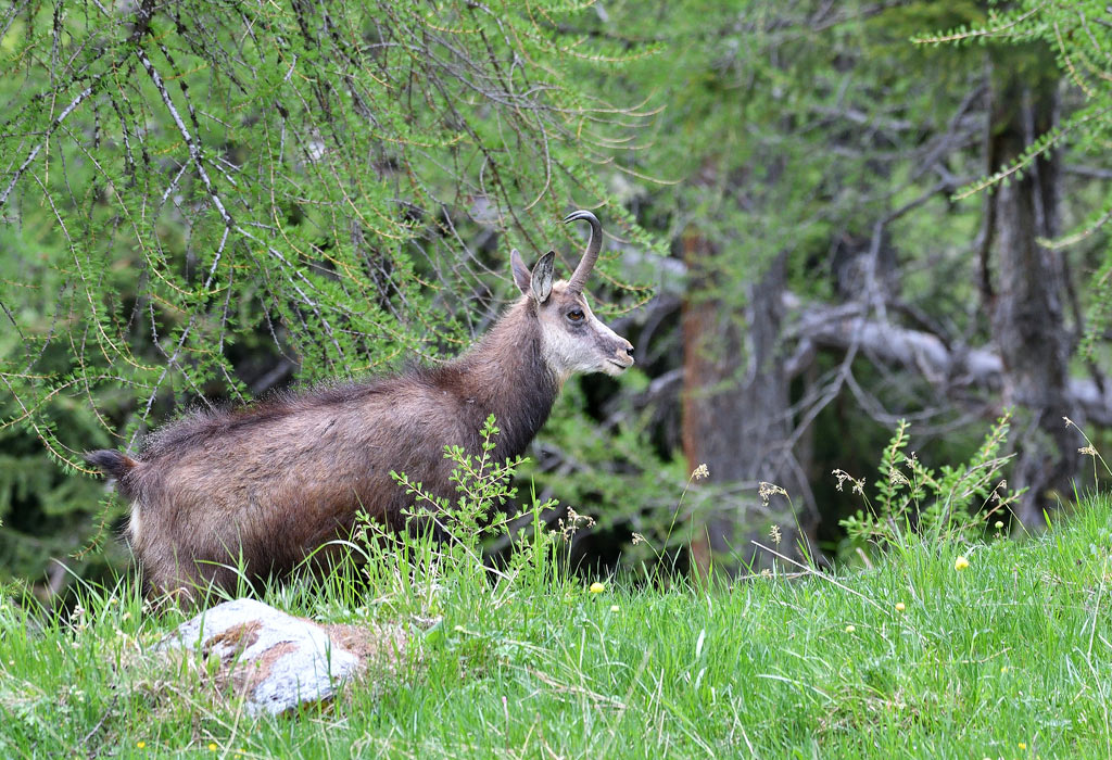 DSC_4005.jpg