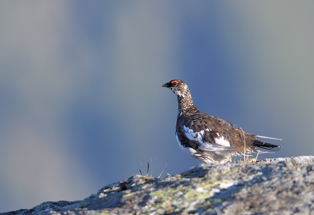 DS5_0059.jpg