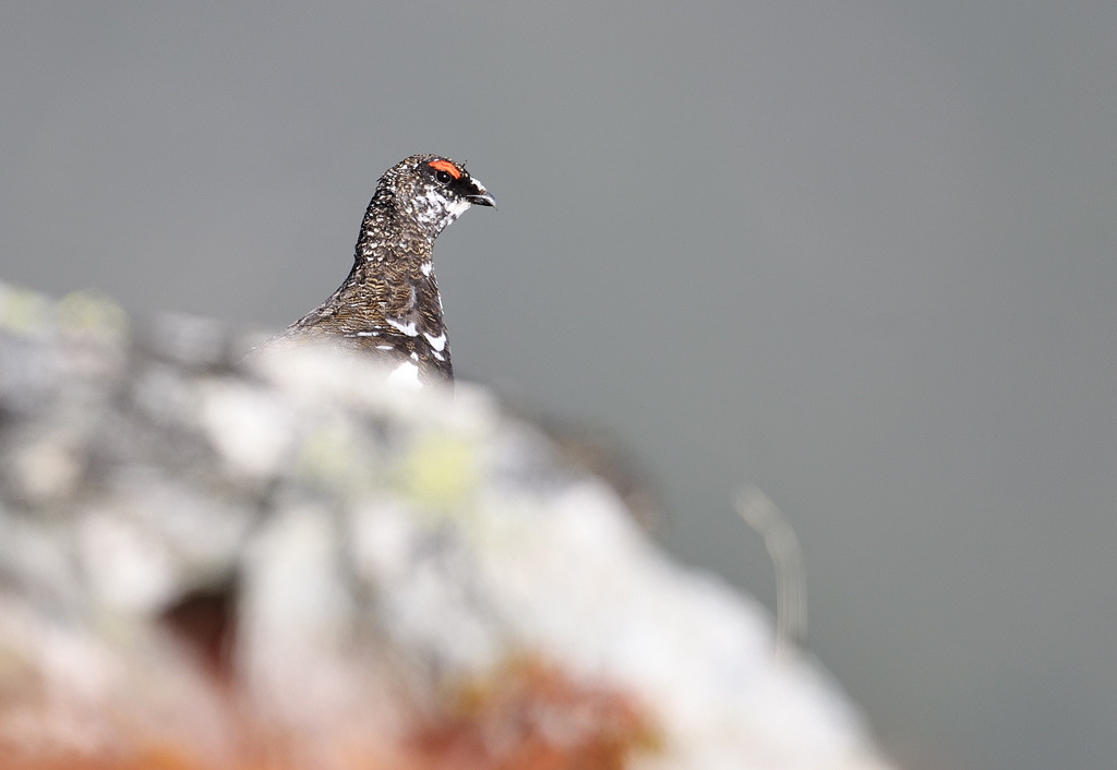 DS5_0136.jpg
