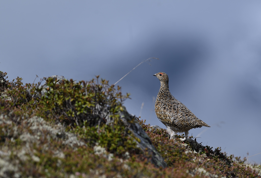DS5_0291.jpg