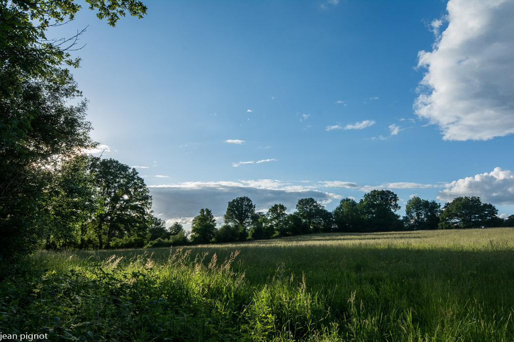 24052022-DSC_0735.JPG