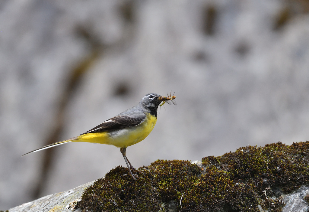 DS5_9173.jpg