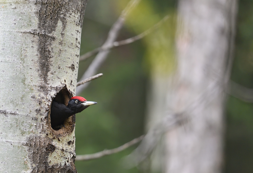 DS5_8552.jpg