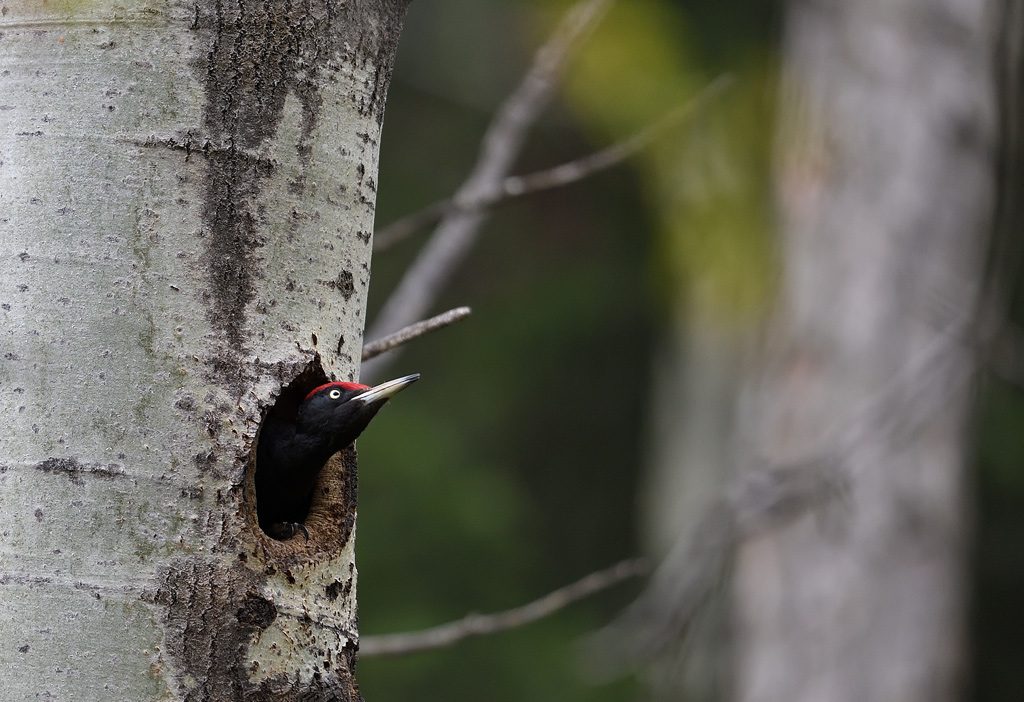 DS5_8788.jpg