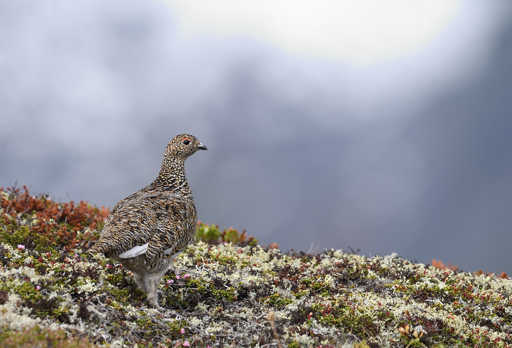 DS5_0305.jpg