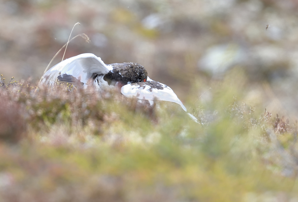 DS5_0314.jpg