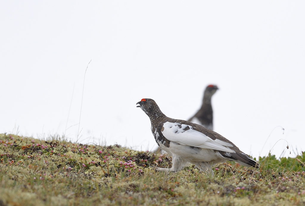 DS5_0318.jpg