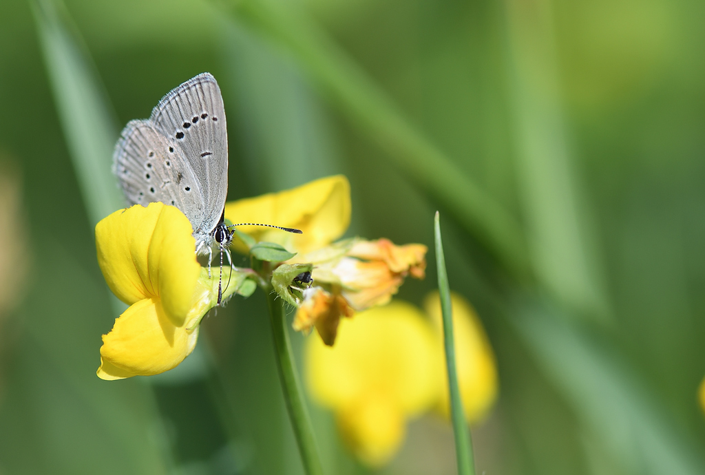 DS5_0596.jpg