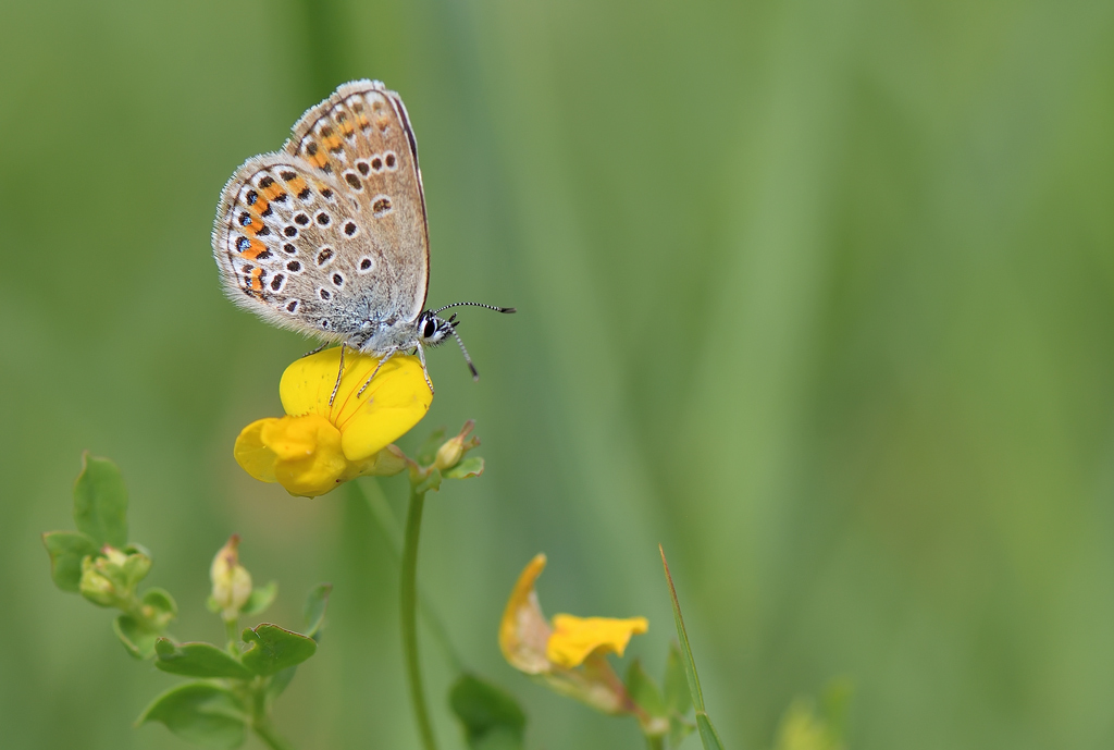 DS5_0646.jpg