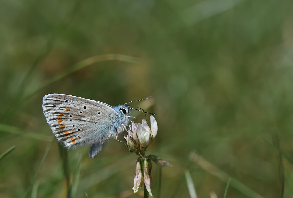 DS5_0696.jpg